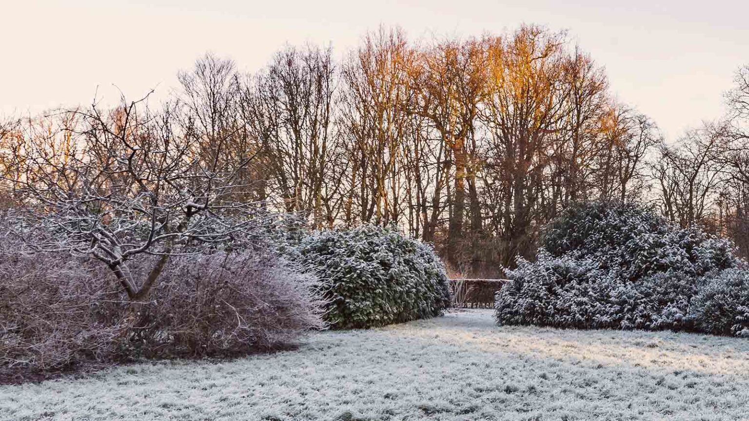 Aktuelles im Winter - Schulte Gartenbau GmbH