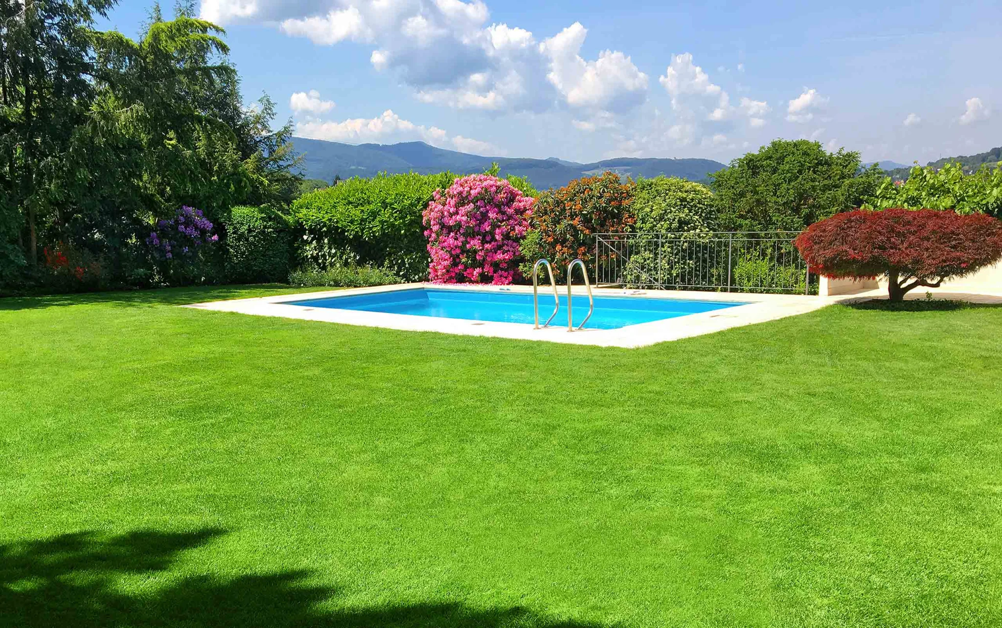 Schulte Gartenbau Ideen Gartengestalter Gartenplanung Gartengestaltung Gartendesign Pools Schwimmbaeder Teiche Pool kaufen Gartenunterhalt Landschaftsgaertner Mauern Natursteinbelaege Rasenpflege Hecken Pflanzen Blumen Rabatten Biotope Parkanlagen Garten und Landschaftsbau Gartenkonzepte Teichpflanzen Teichbau Professionell Oberwil Baselland