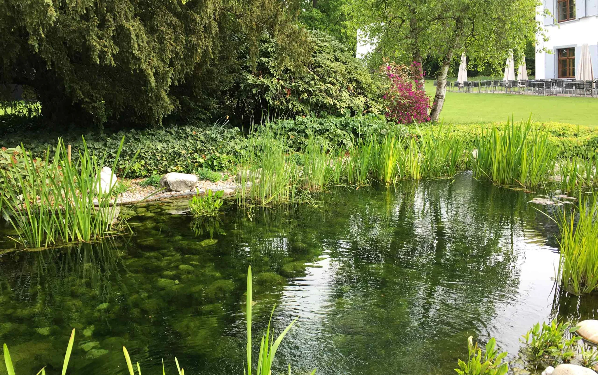 Schulte Gartenbau Ideen Gartengestalter Gartenplanung Gartengestaltung Gartendesign Pools Schwimmbaeder Teiche Pool kaufen Gartenunterhalt Landschaftsgaertner Mauern Natursteinbelaege Rasenpflege Hecken Pflanzen Blumen Rabatten Biotope Parkanlagen Garten und Landschaftsbau Gartenkonzepte Teichpflanzen Teichbau Professionell Oberwil Baselland